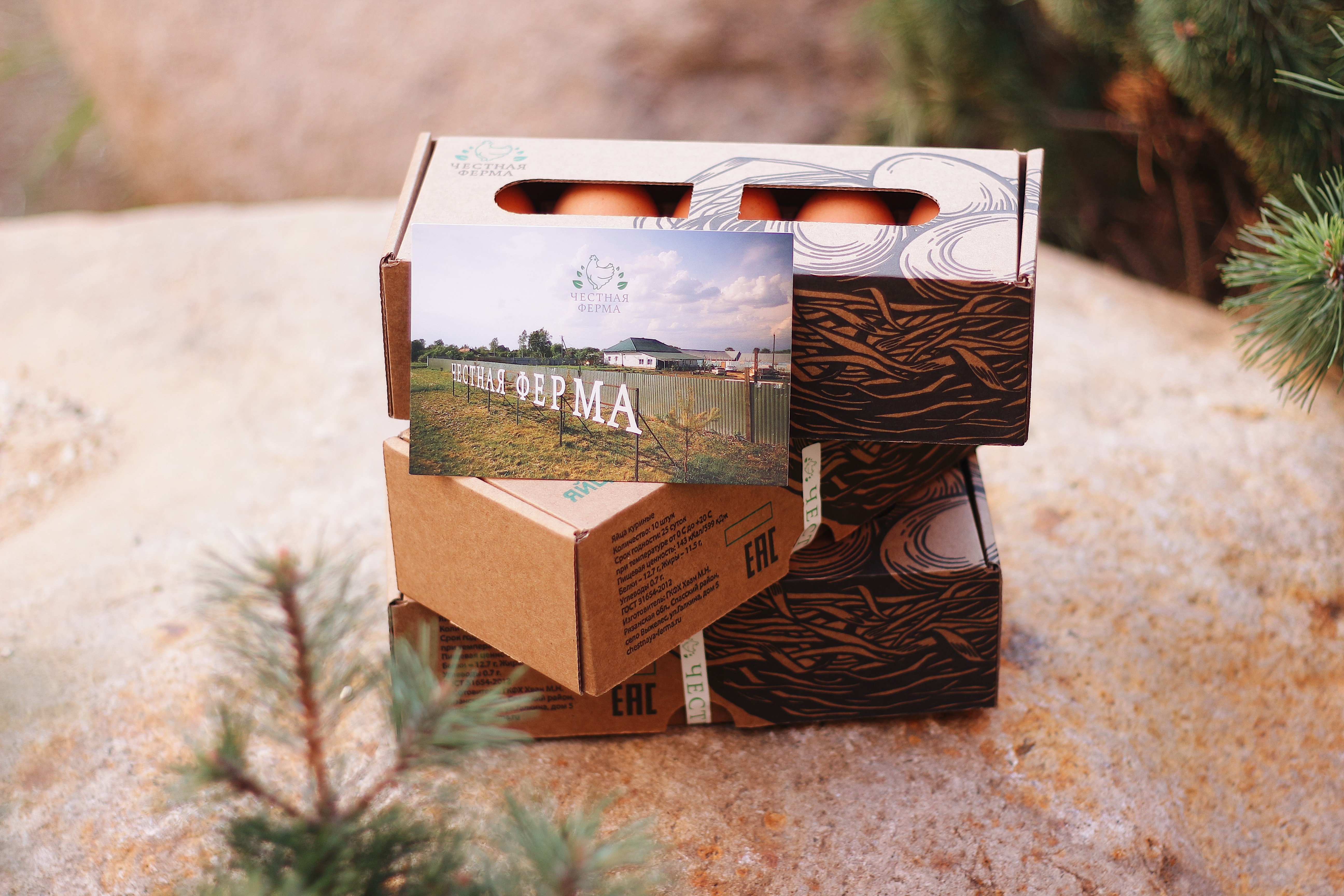 коровник телятник мтф. честной фермы. ранчо конюшня сша. честной фермы. честной фермы.